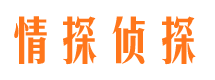 城西侦探公司